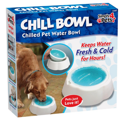 Pet Chilled Drinking Bowl Chill Fresh Cold Water Pet Cat & Dog Bowl