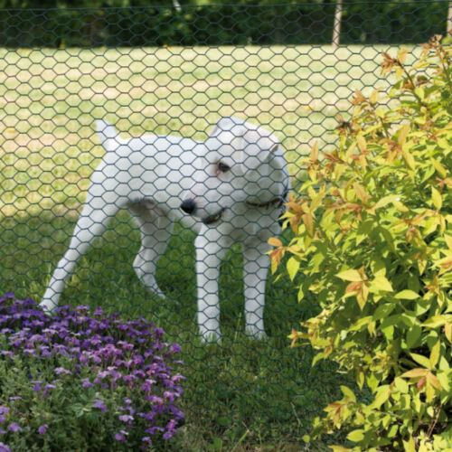 PVC Coated Galvanised Chicken Wire Rabbit Mesh Fencing Aviary Fence Ne