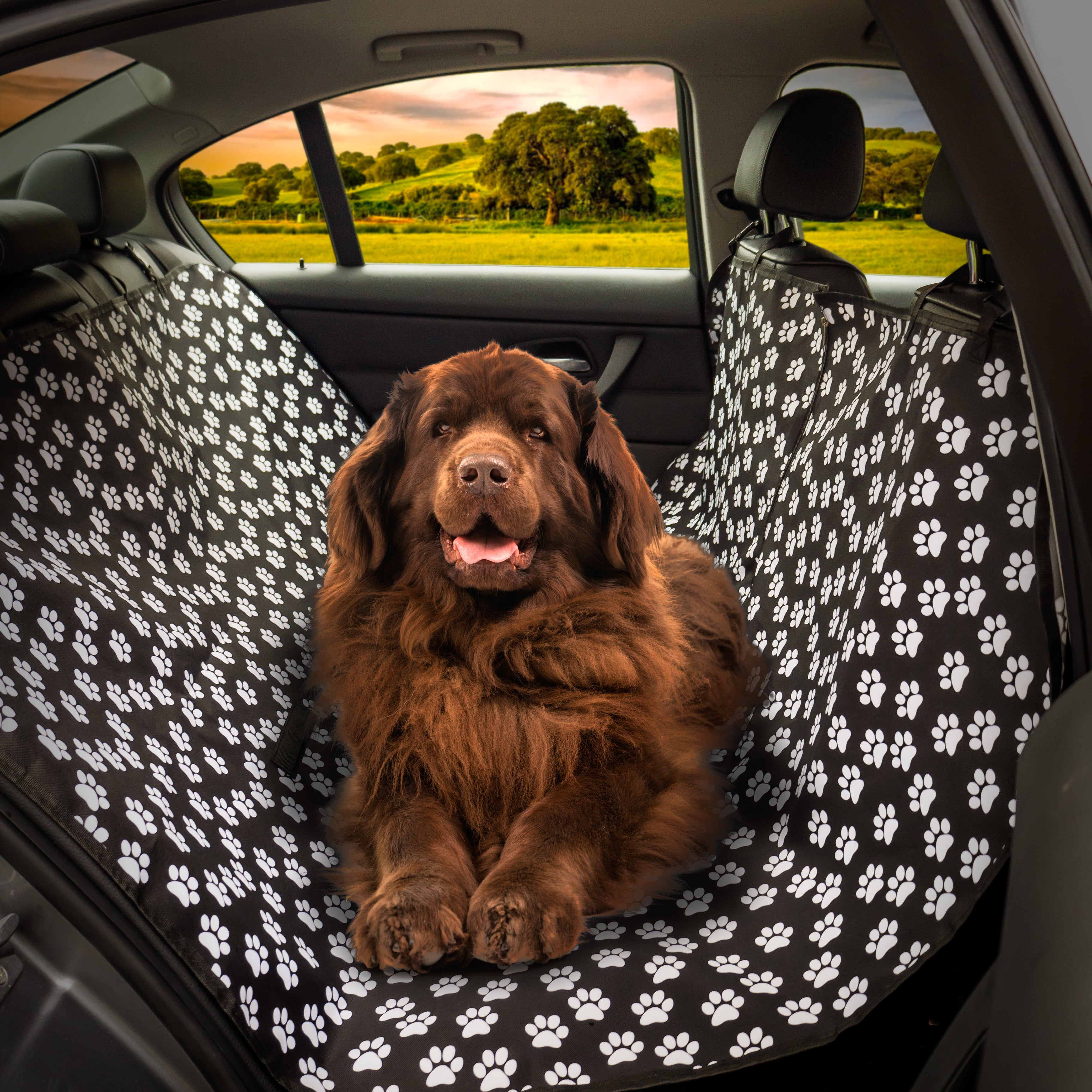Paw Car Boot Liner Rear Back Hammock Seat Cover Waterproof Dog Protector Mat