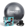 Exercise Gym Ball Swiss Pilates Yoga Core Training Stability Pump Carry Bag 65cm