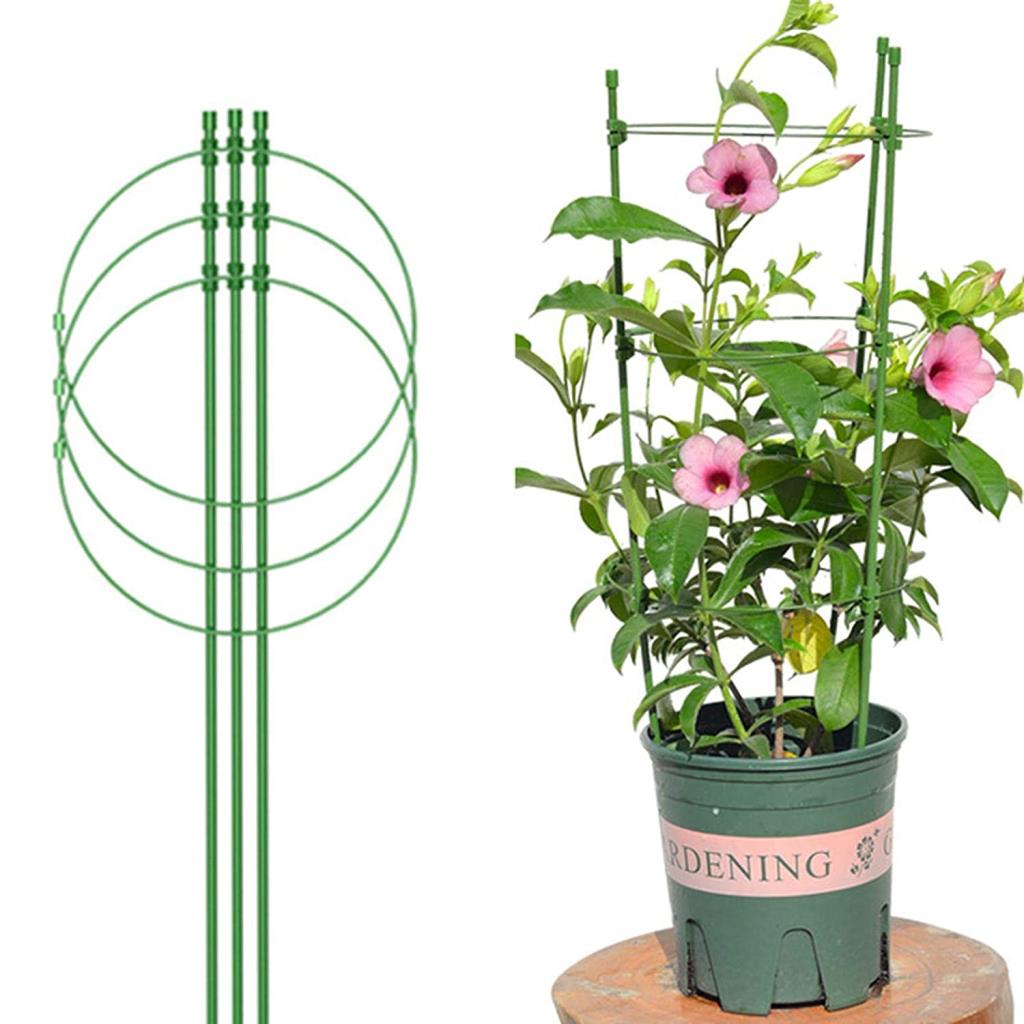 Conical Garden Plant Support Ring for Different Sized Pots Support Flowers Stalk