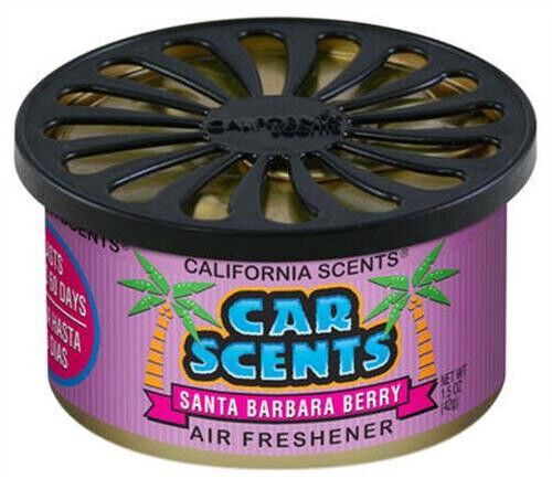 6 CALIFORNIA SCENTS AIR FRESHENER HOME OFFICE CAR VAN FLAT TAXI BUS CAB TRUCK