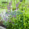 Garden Plant Support Stakes Frame Cage Wire Grow Through Hoops Canes Herbaceous