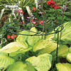 Garden Plant Support Stakes Frame Cage Wire Grow Through Hoops Canes Herbaceous