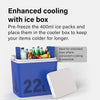 22L Electric Cooler Box Power 12V Car Cigarette Lighter 2 Ice Packs Cool Fridge