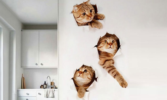 3D Large Wall Cat Kitten Stickers Bedroom Decal Fridge Mural Art Decor Removable