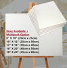 White Stretched Artist Canvas Blank Plain Painting Art Board Small Large Medium