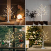 Small Birch Twig Tree Pre-Lit 24 Warm White LED USB Battery Operated Festive