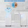 12L Dehumidifier Automatic Humidity Sensor & Display 24 Hour Timer Sleeping Mode