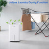 20L Laundry Dehumidifier Automatic Humidity Sensor Sleeping Mode 24hr Timer