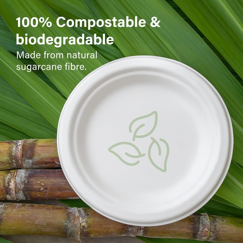 50pc Biodegradable Bagasse Plates 9”/10” Flat Compartment Plates Eco Friendly