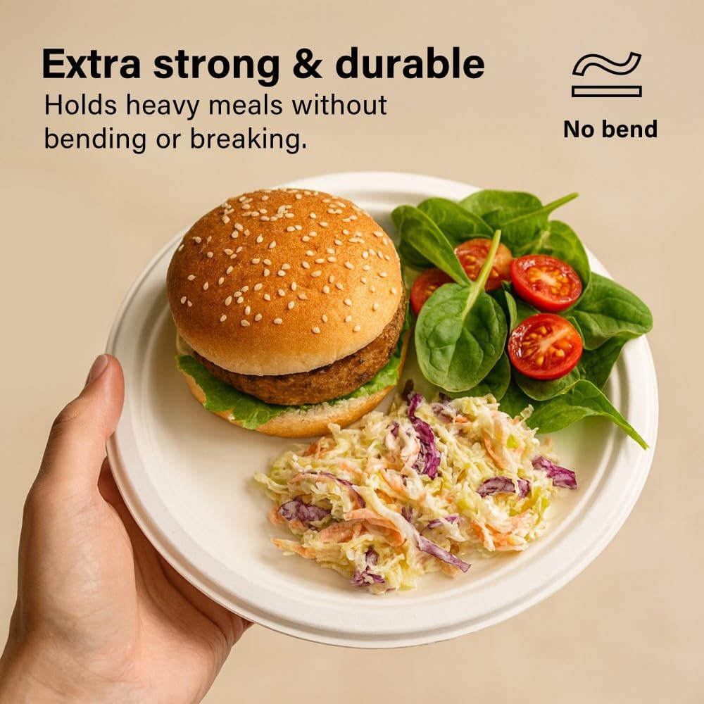 50pc Biodegradable Bagasse Plates 9”/10” Flat Compartment Plates Eco Friendly