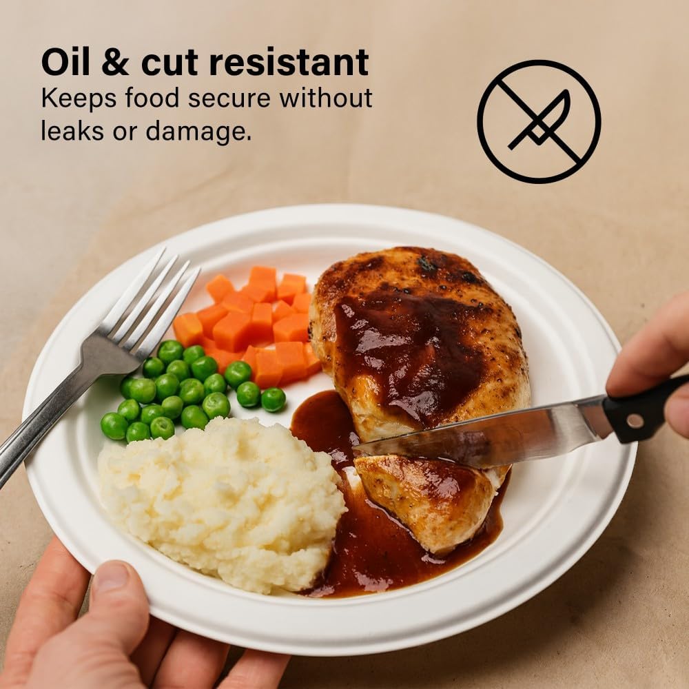 50pc Biodegradable Bagasse Plates 9”/10” Flat Compartment Plates Eco Friendly