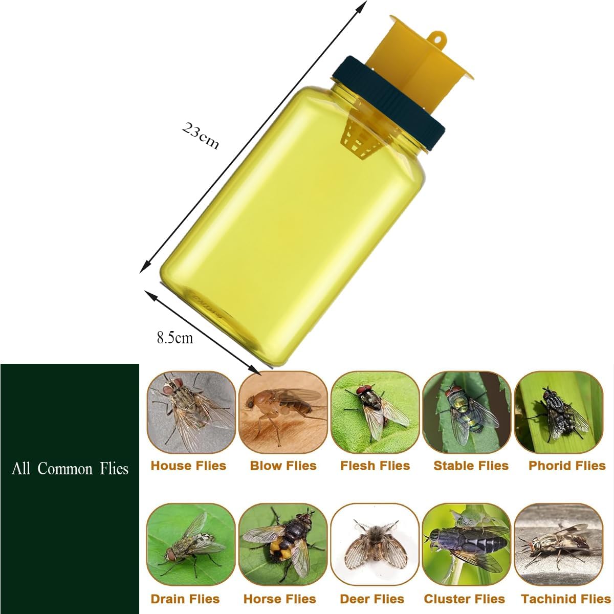 Pack of 2 Fly Catcher Bottle Insect Traps Reusable With Bait Non Toxic Insect