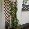 Expanding Green Wooden Trellis Climbing Plants Fence Panel Screening Lattice