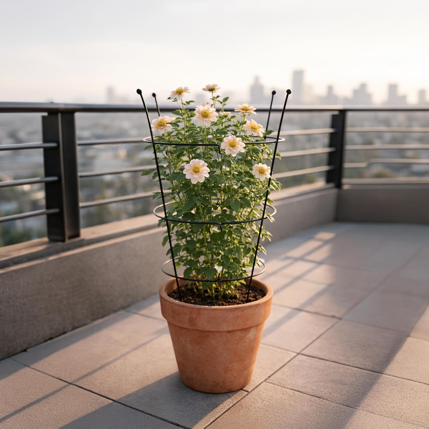 Peony Plant Support Frame Heavy Duty Rust-Resistant Ring Flower Cage Border Cage