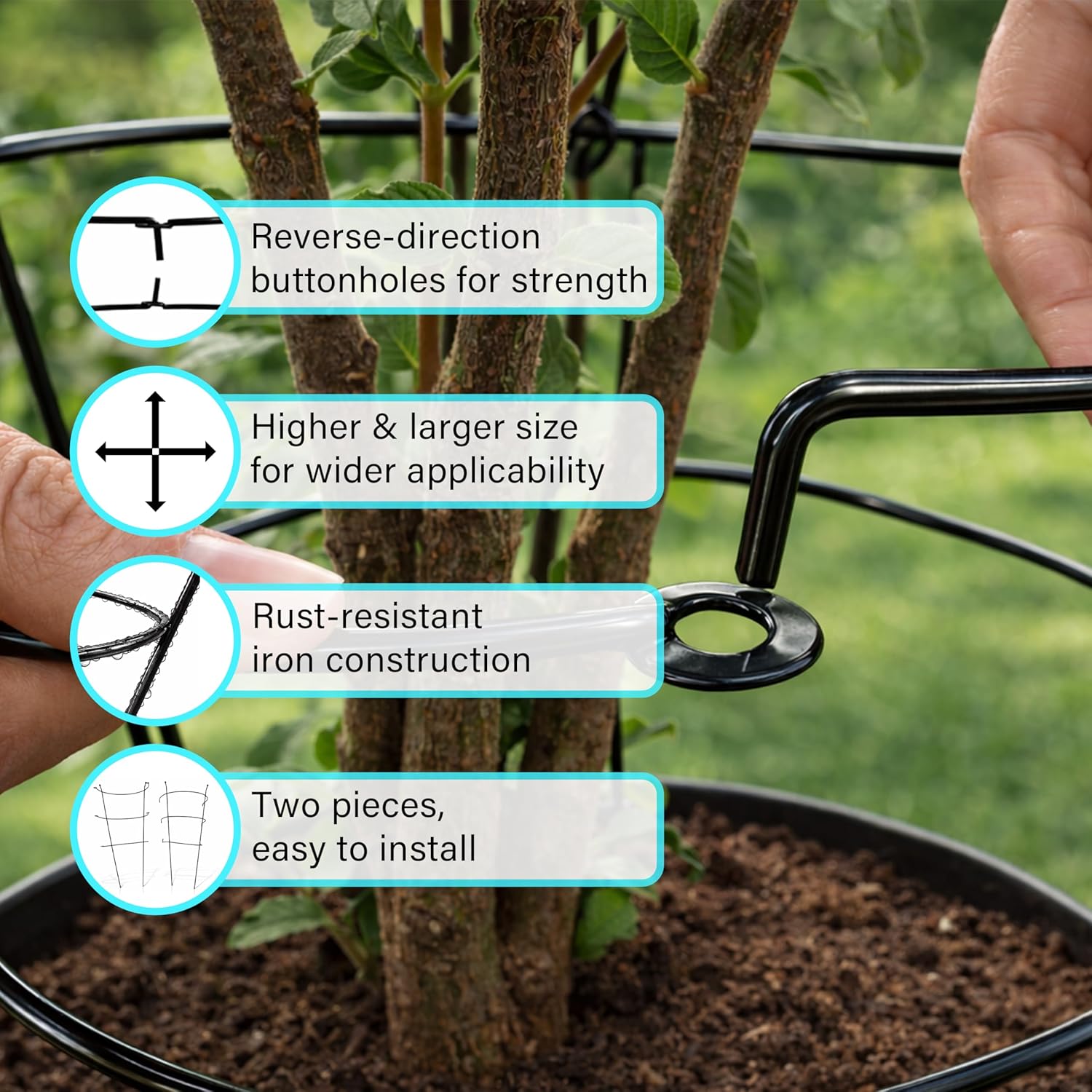 Peony Plant Support Frame Heavy Duty Rust-Resistant Ring Flower Cage Border Cage