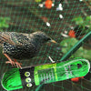 Anti Bird Netting Garden Fruit Cage Crop Veg Pond Protection Mesh 2 X 10M