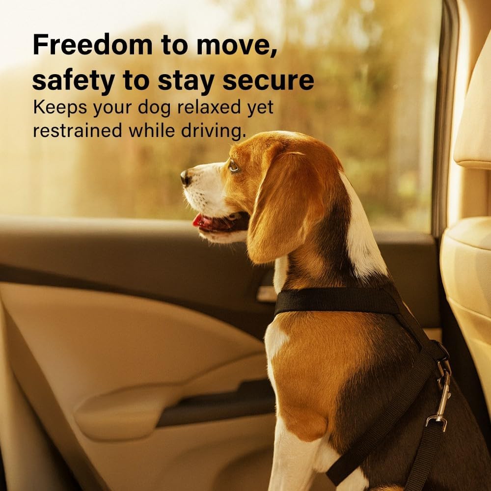 2 Pack Adjustable Dog Car Seat Belts Pet Safety Harness Leash Travel 45–71cm