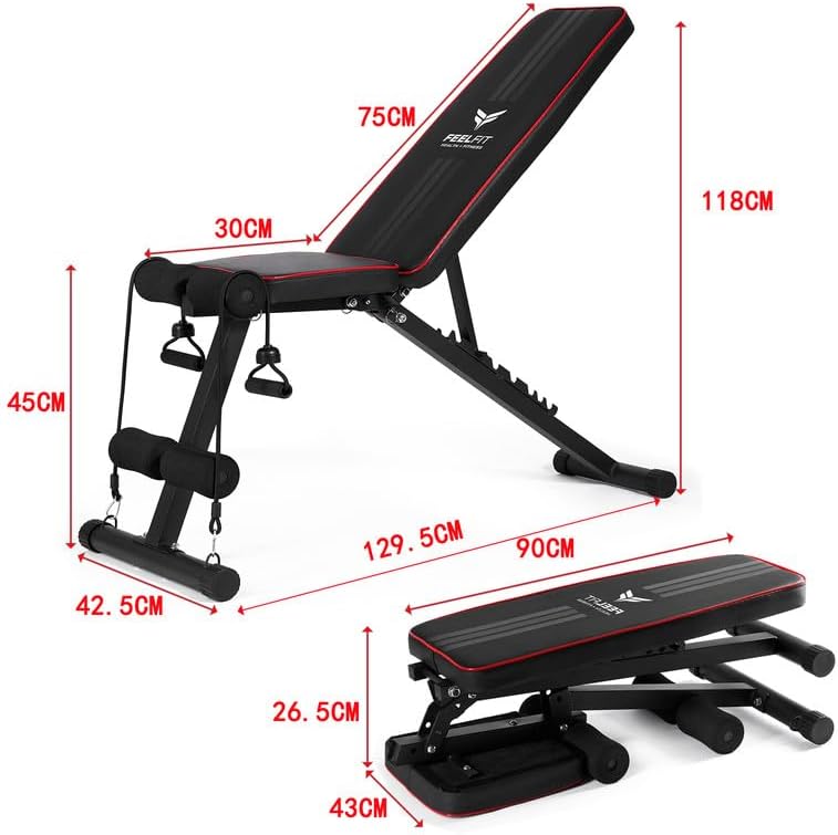 Adjustable Sit Up Weight Bench Foldable Strength Training Flat Incline Decline