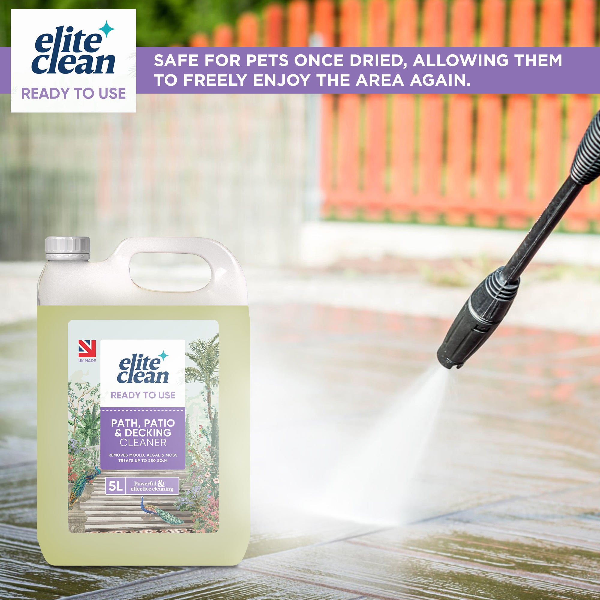 Path Patio Decking Cleaner | 5 Litre | 250 sq.m | Kills Mould Algae Moss Lichens