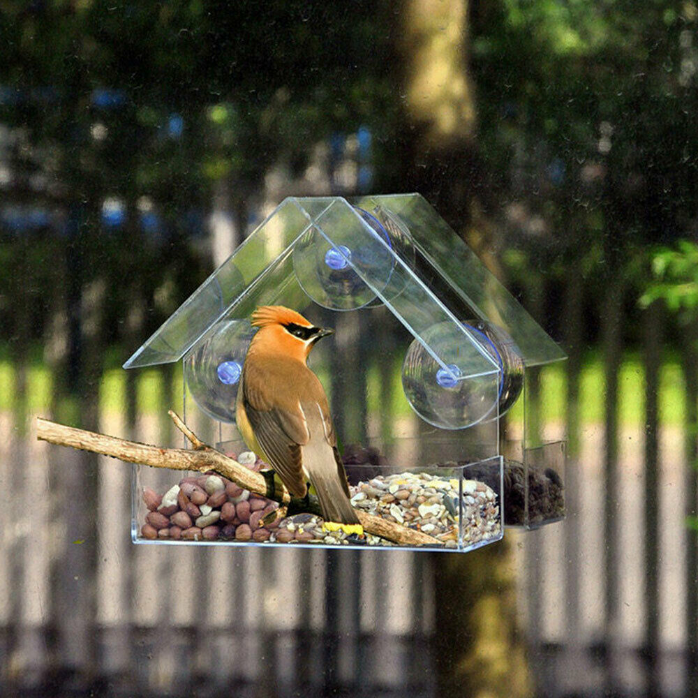 Clear Glass Window Birds Hanging Feeder House Table Seed Peanut Suction Cup