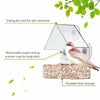 Clear Glass Window Birds Hanging Feeder House Table Seed Peanut Suction Cup