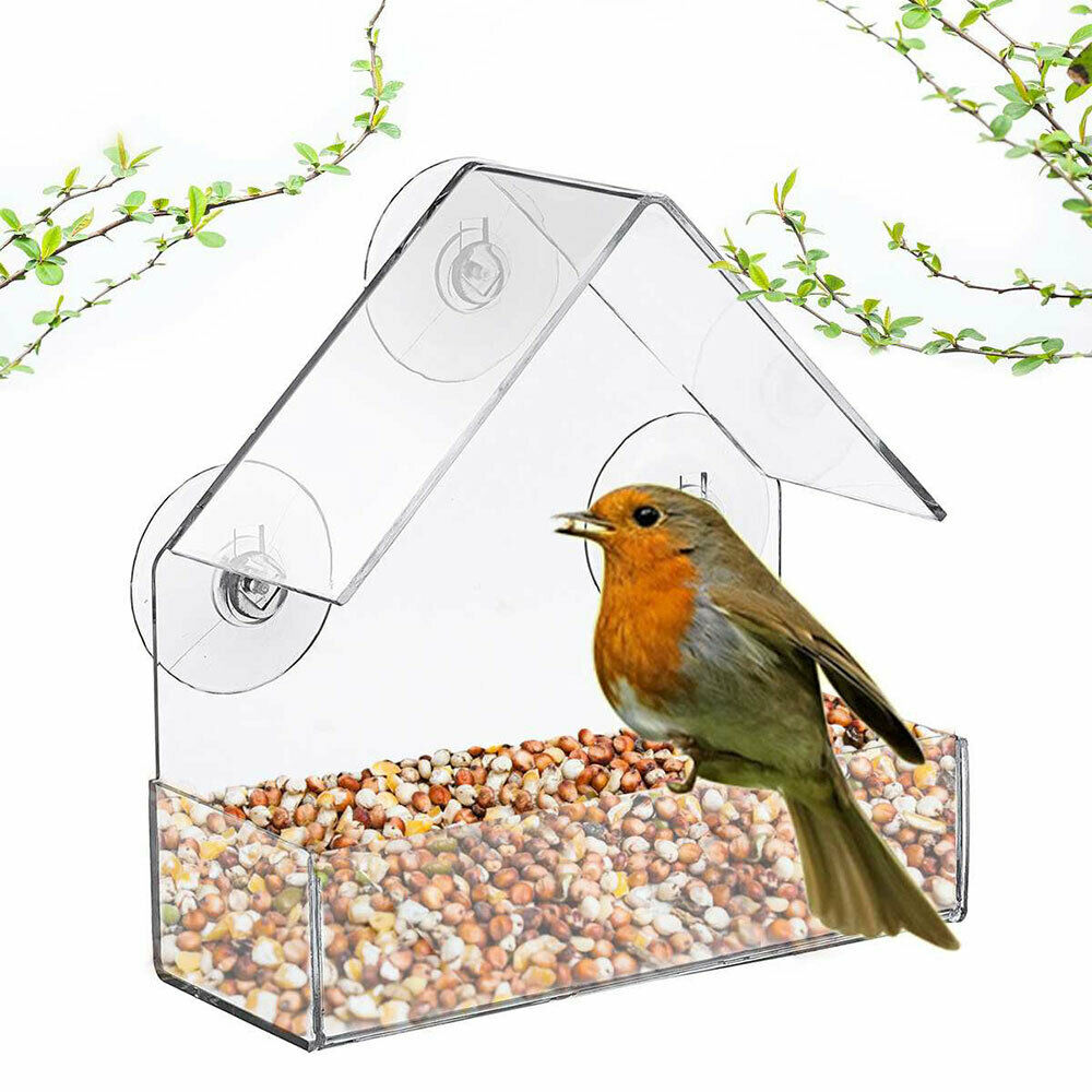 Clear Glass Window Birds Hanging Feeder House Table Seed Peanut Suction Cup