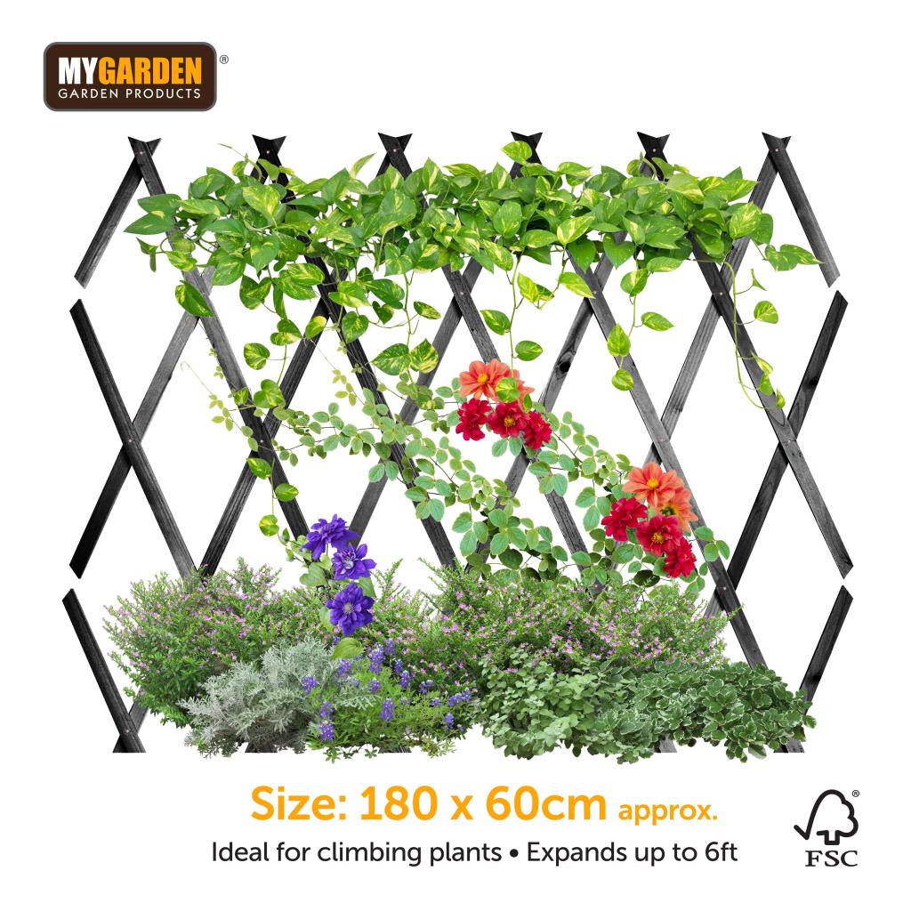 Expanding Grey Wooden Trellis Climbing Plants Fence Panel Screening Lattice New