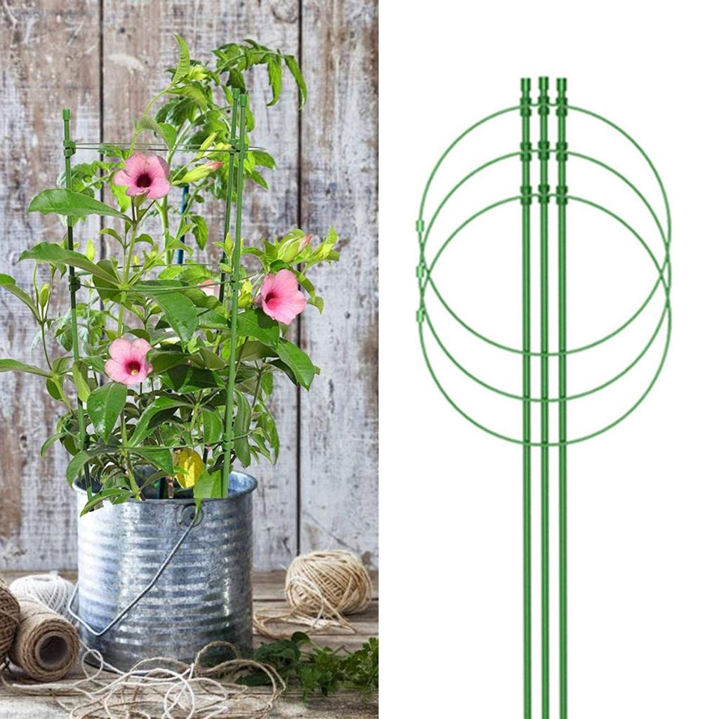 Conical Garden Plant Support Ring for Different Sized Pots Support Flowers Stalk