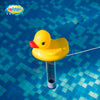 Floating Thermometer For Bath Swimming Pool Pond Hot Tub Water Duck Whale