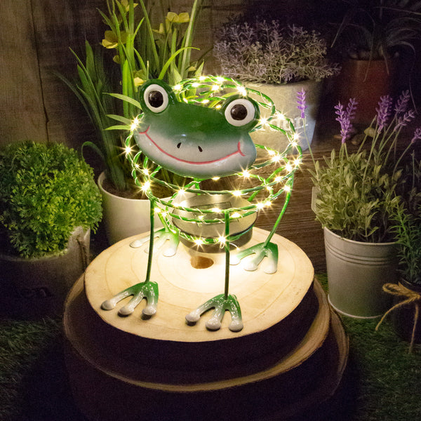 Solar powered on sale frog light