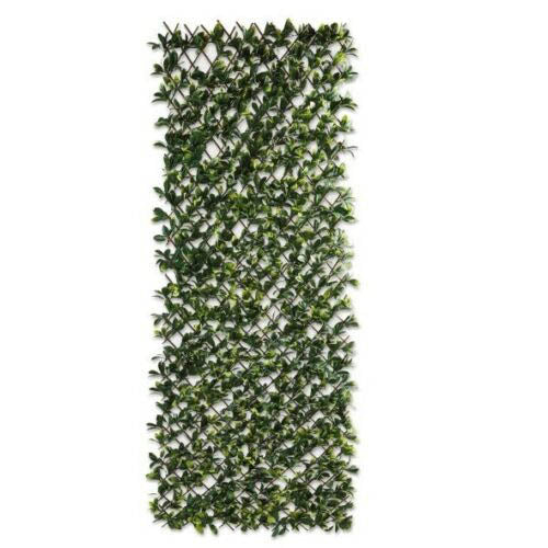 Plastic Wall Trellis Expanding Plant Climbing Vine Garden PVC Fence 200 x 100cm