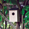 2x Wooden Nesting Boxes Nest Box Bird House Small Birds Blue Tit Robin Sparrow