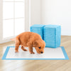 50 Large Puppy Training Pads Trainer Train Toilet Pee Wee Mats Poo Dog Pet Cat