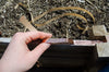 2M Slug & Snail Repellent Copper Tape Organic Gardening Self Adhesive Roll EMI