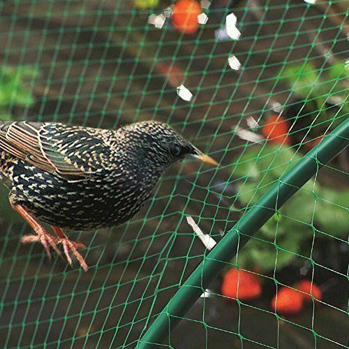 6 X Garden Netting Net Protection Anti Bird Veg Fruit Plant Pond Water 2 X 10M