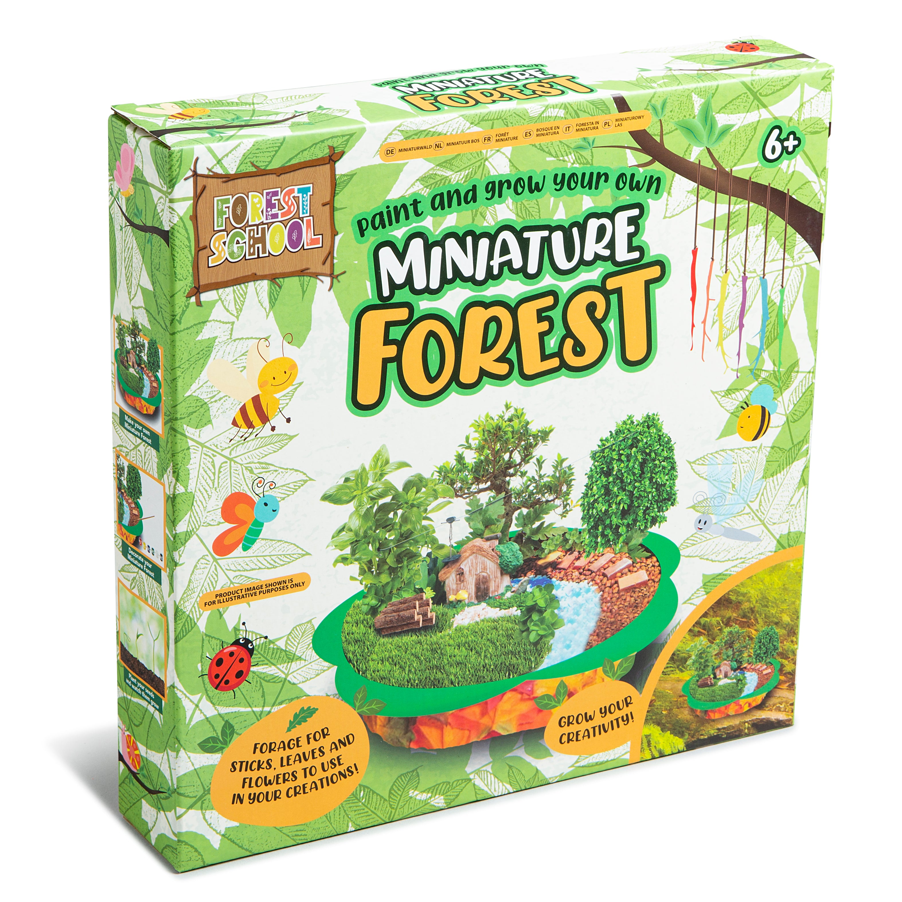 Paint and Grow Your Own Miniature Forest Planter Pebbles Wooden House Create