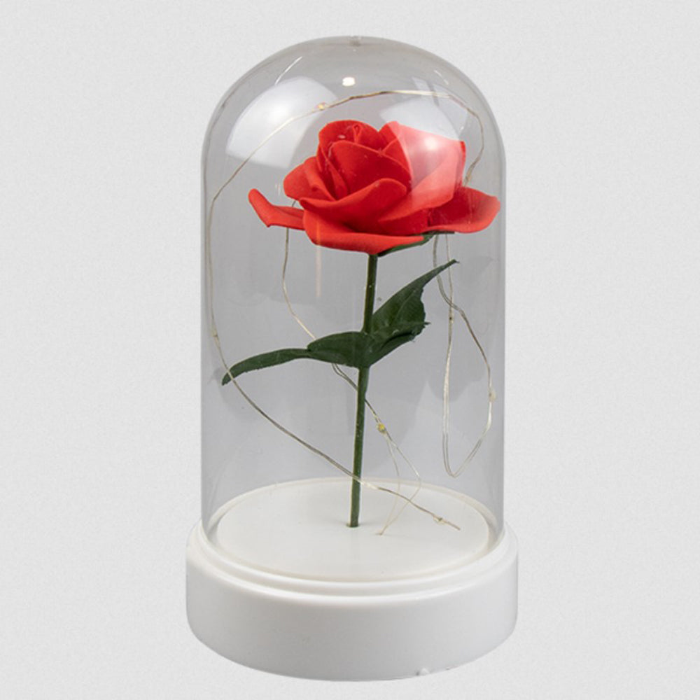 Valentine's Day Rose Cloche Jar LED Light Up Wire Gift Present Him / Her 19cm