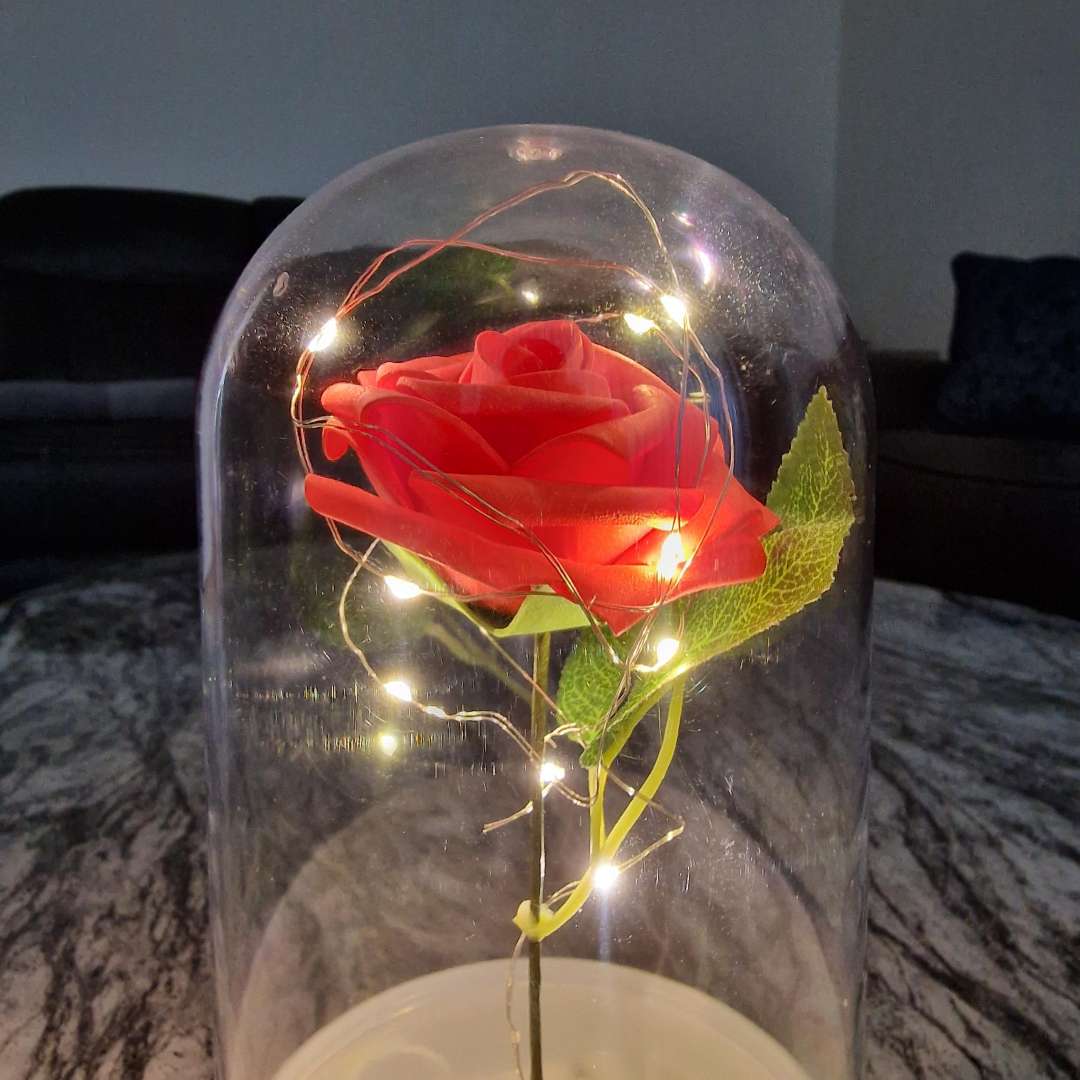 Valentine's Day Rose Cloche Jar LED Light Up Wire Gift Present Him / Her 19cm