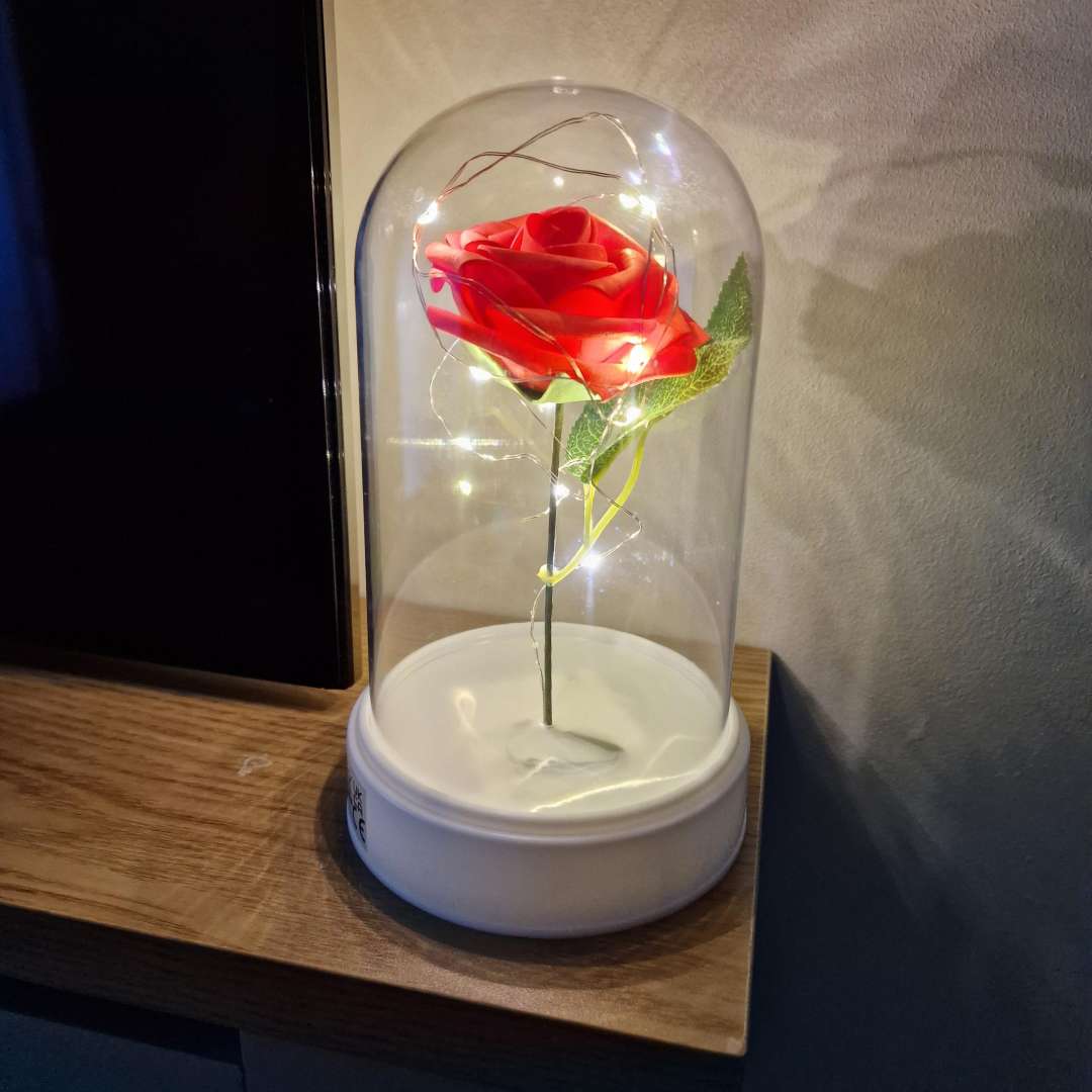 Valentine's Day Rose Cloche Jar LED Light Up Wire Gift Present Him / Her 19cm