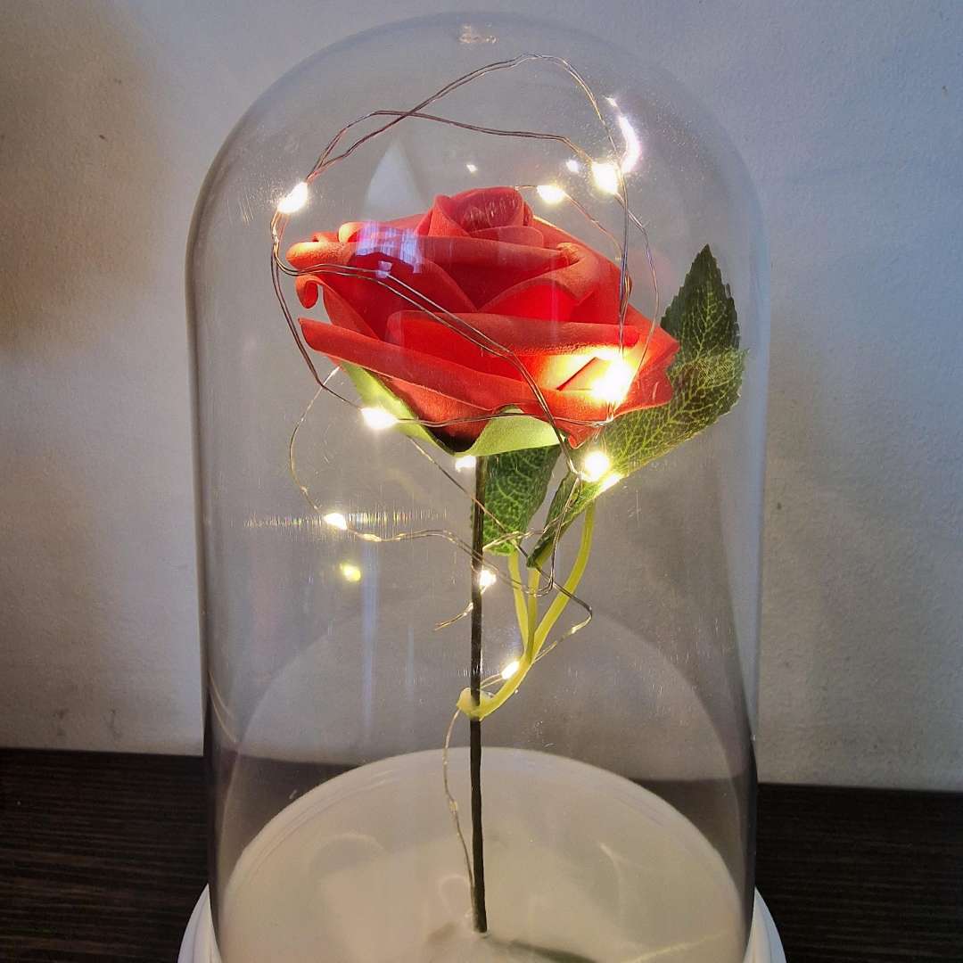 Valentine's Day Rose Cloche Jar LED Light Up Wire Gift Present Him / Her 19cm