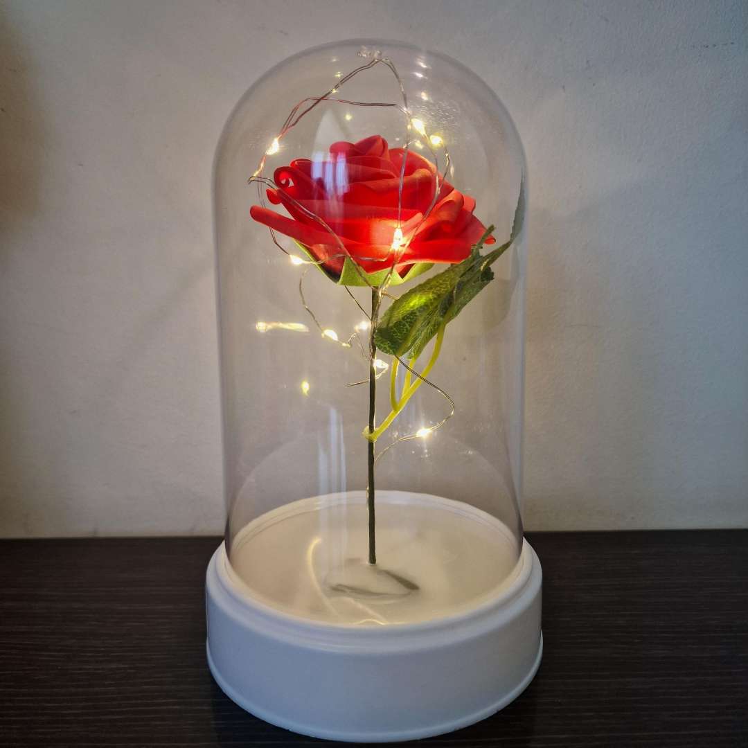 Valentine's Day Rose Cloche Jar LED Light Up Wire Gift Present Him / Her 19cm