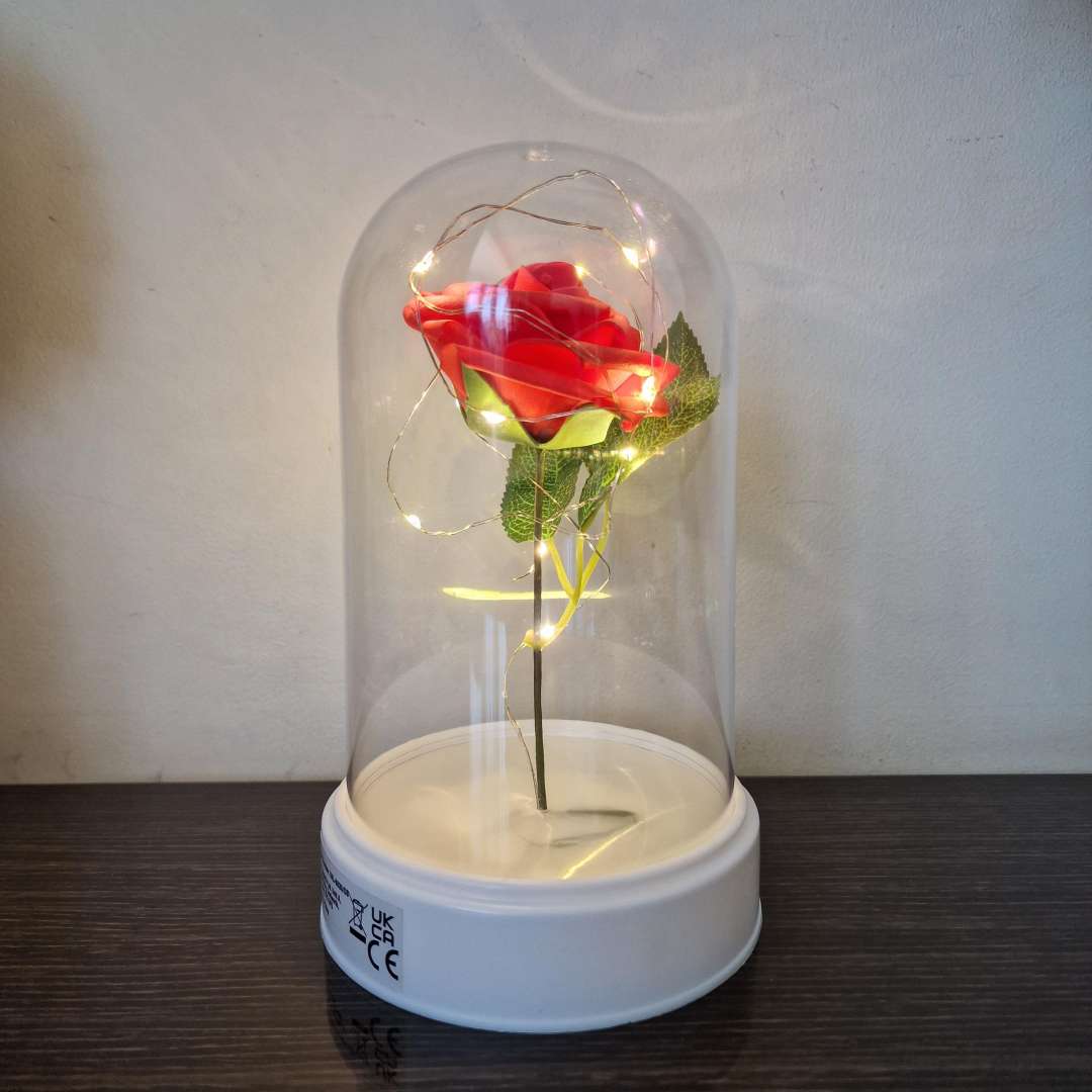 Valentine's Day Rose Cloche Jar LED Light Up Wire Gift Present Him / Her 19cm