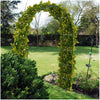 Metal Garden Arch Archway Ornament For Climbing Plants Rose Patio Gateway Sturdy