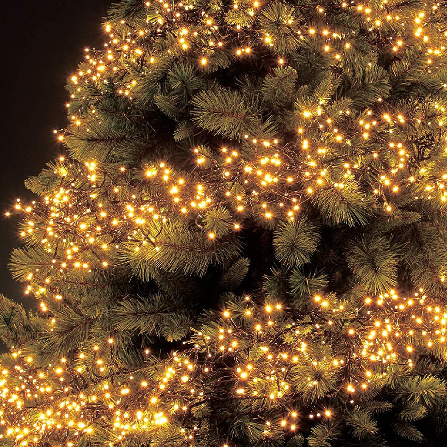 LED Warm White Chaser Christmas Lights|Indoor/Outdoor Fairy Lights|8 Mode|Timer
